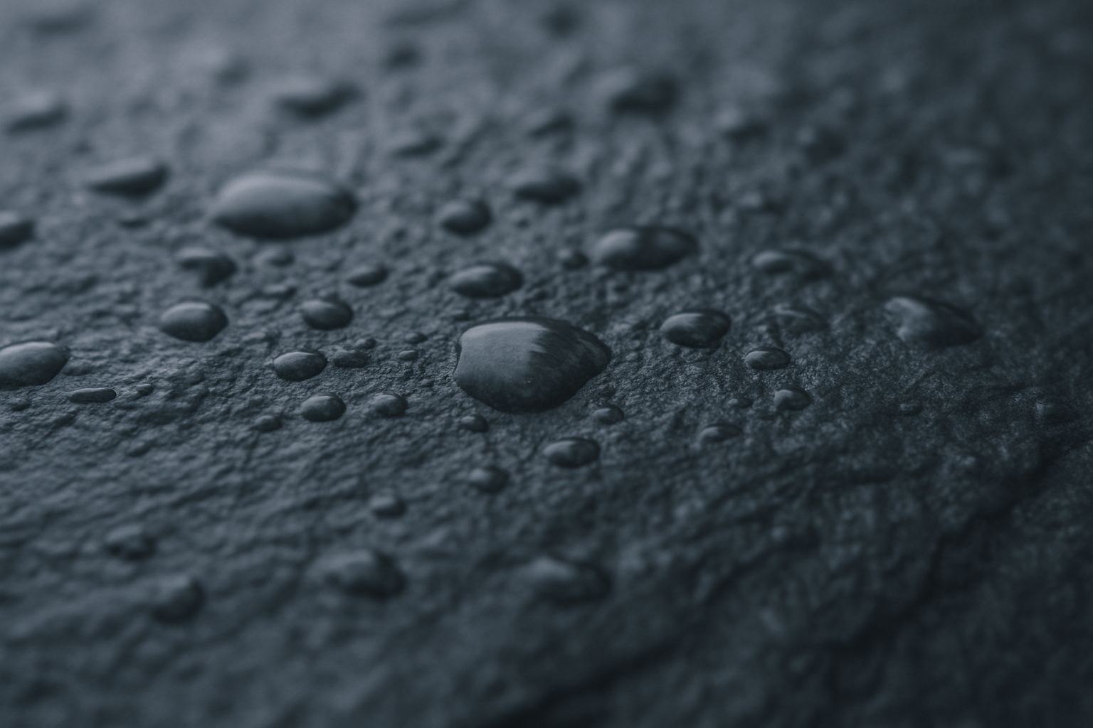 Wet stone under grey light. A hard surface that has been wet and cold long enough to change.